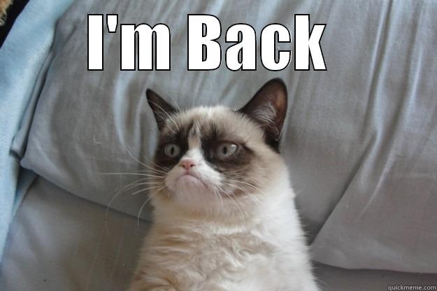 I'M BACK   Grumpy Cat