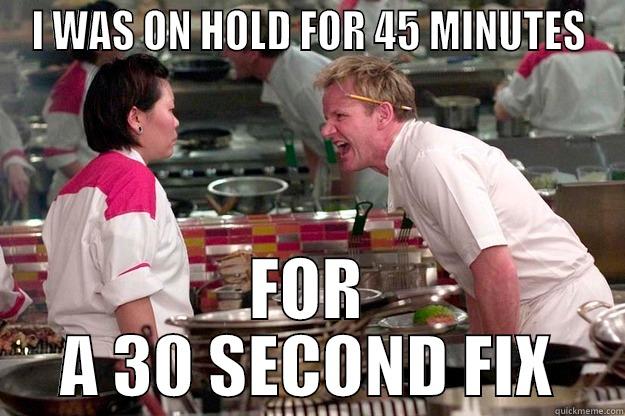 I WAS ON HOLD FOR 45 MINUTES FOR A 30 SECOND FIX Gordon Ramsay