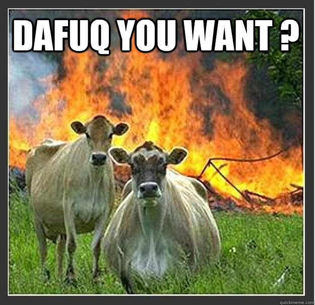 DAFUQ YOU WANT ?  Evil cows