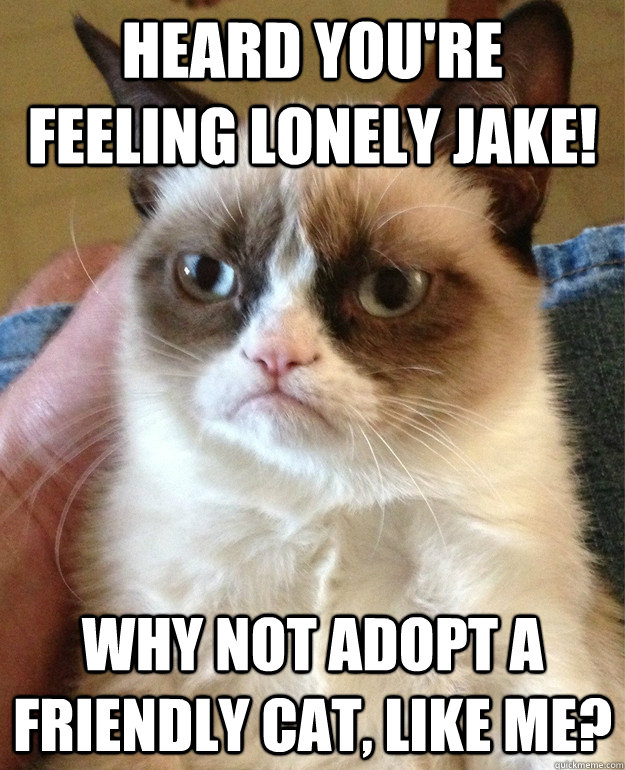 Heard you're feeling lonely Jake! Why not adopt a friendly cat, like me?  Grumpy Cat