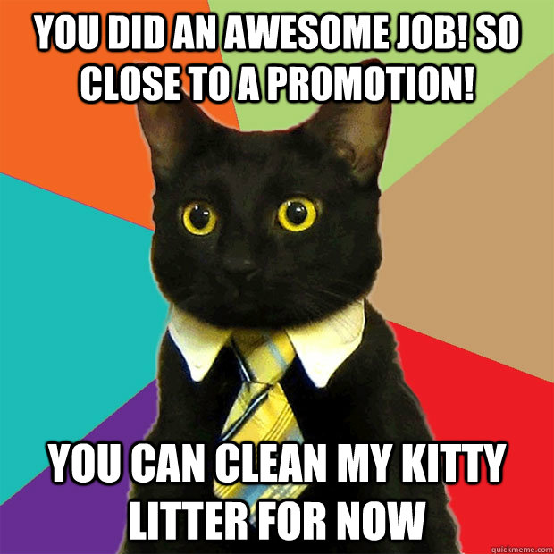 You did an awesome job! So close to a promotion! You can clean my kitty litter for now  Business Cat