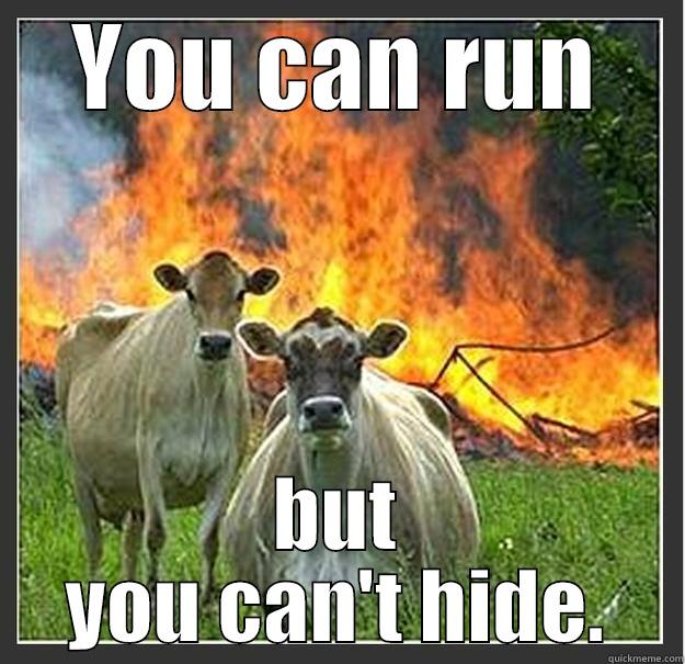 YOU CAN RUN BUT YOU CAN'T HIDE. Evil cows