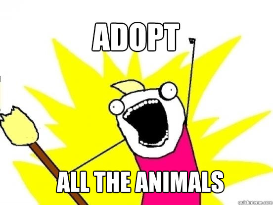 Adopt ALL the animals  