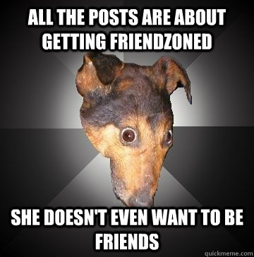 all the posts are about getting friendzoned she doesn't even want to be friends  Depression Dog