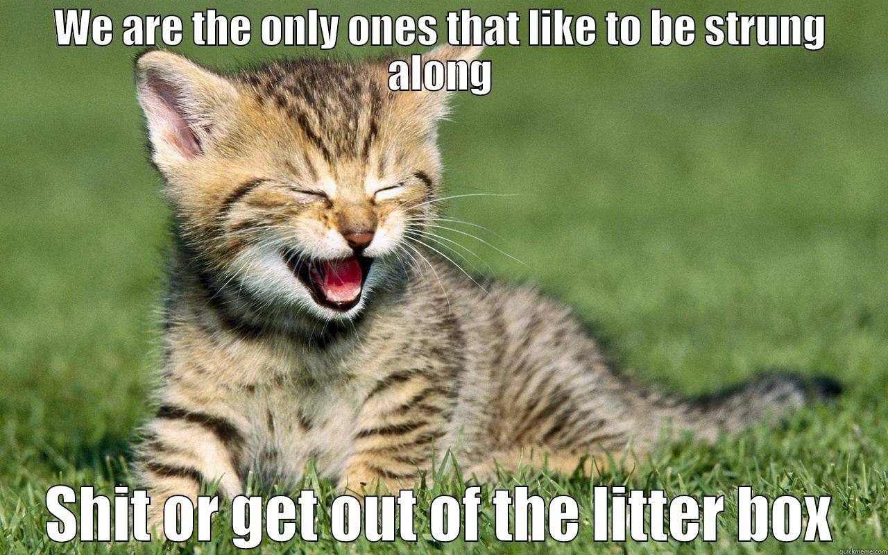 WE ARE THE ONLY ONES THAT LIKE TO BE STRUNG ALONG SHIT OR GET OUT OF THE LITTER BOX Misc