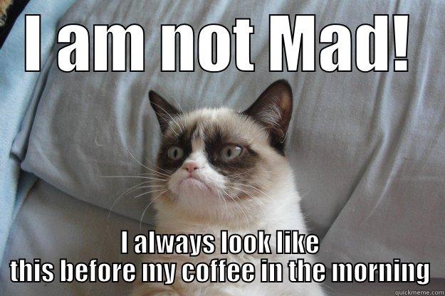 I AM NOT MAD! I ALWAYS LOOK LIKE THIS BEFORE MY COFFEE IN THE MORNING Grumpy Cat