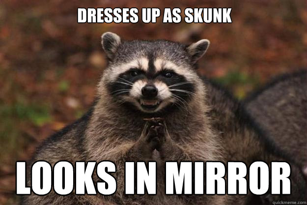 dresses up as skunk looks in mirror  Evil Plotting Raccoon