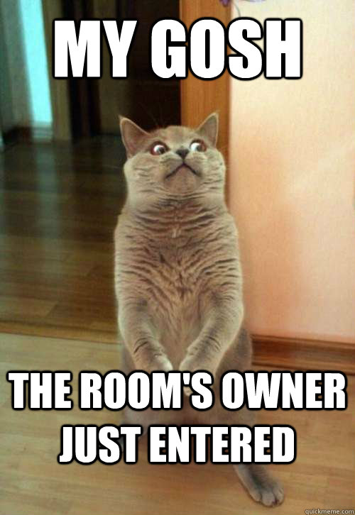 MY GOSH THE ROOM'S OWNER JUST ENTered  Horrorcat