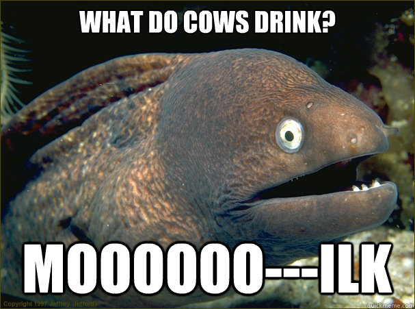 What do cows drink? MOOOOOO---ilk - What do cows drink? MOOOOOO---ilk  Bad Joke Eel