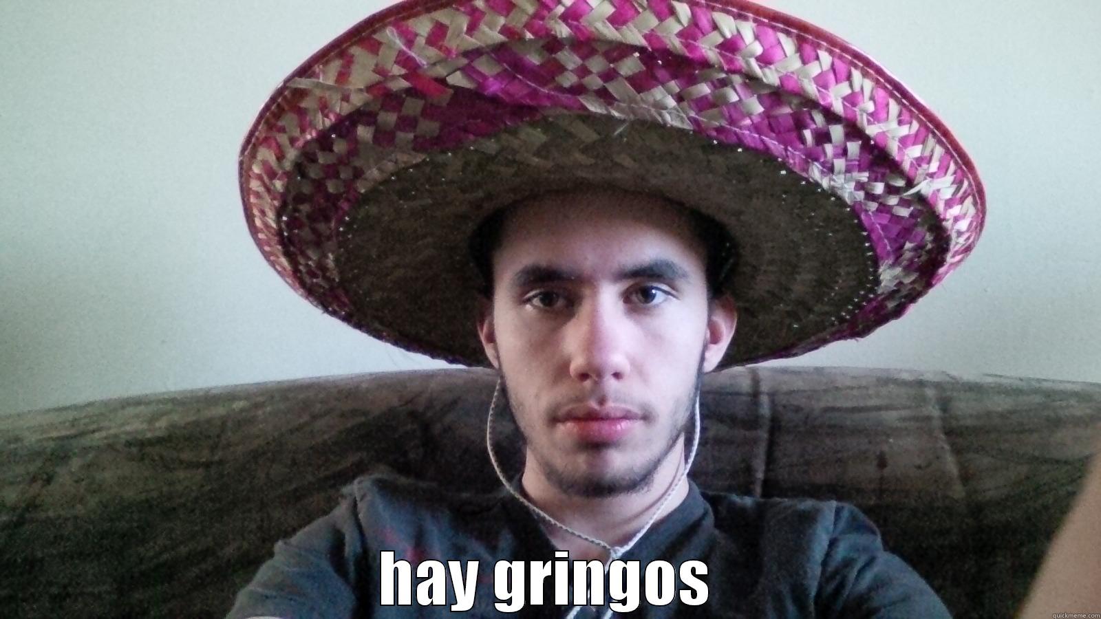  HAY GRINGOS Misc