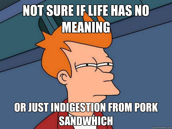 not sure if life has no meaning or just indigestion from pork sandwhich - not sure if life has no meaning or just indigestion from pork sandwhich  Futurama Fry