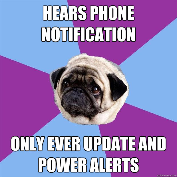 hears phone notification only ever update and power alerts - hears phone notification only ever update and power alerts  Lonely Pug