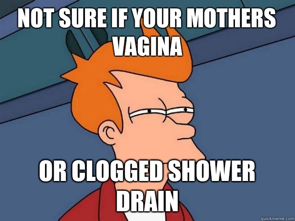 Not sure if your mothers vagina or clogged shower drain  Futurama Fry