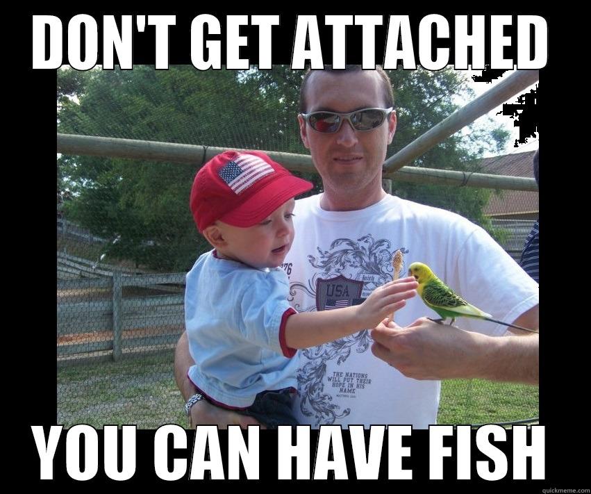 YOU CAN HAVE FISH - DON'T GET ATTACHED YOU CAN HAVE FISH Misc