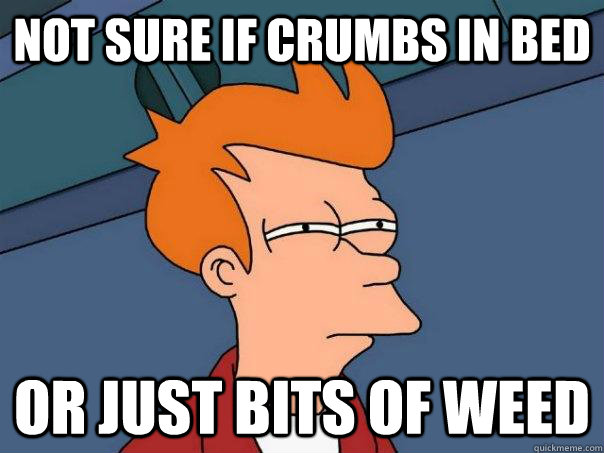 Not sure if crumbs in bed or just bits of weed  Futurama Fry