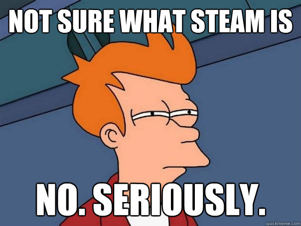 Not sure what steam is No. Seriously. - Not sure what steam is No. Seriously.  Futurama Fry