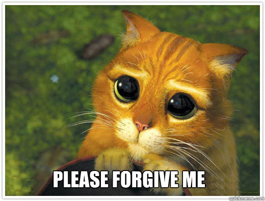  please forgive me -  please forgive me  Shrek Cat