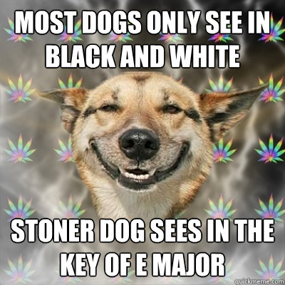 most dogs only see in black and white stoner dog sees in the key of E major - most dogs only see in black and white stoner dog sees in the key of E major  Stoner Dog