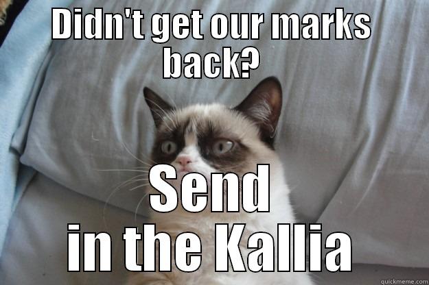 When in doubt at uws - DIDN'T GET OUR MARKS BACK? SEND IN THE KALLIA Grumpy Cat