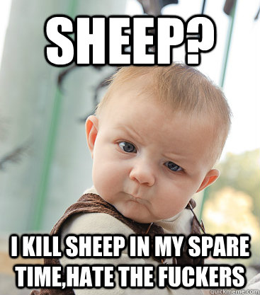 sheep? i kill sheep in my spare time,hate the fuckers  skeptical baby