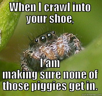 WHEN I CRAWL INTO YOUR SHOE, I AM MAKING SURE NONE OF THOSE PIGGIES GET IN. Misunderstood Spider