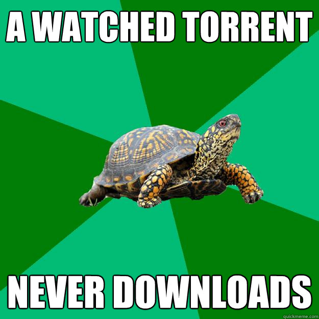 A watched torrent never downloads - A watched torrent never downloads  Torrenting Turtle