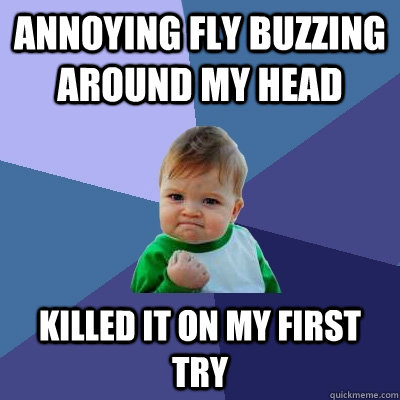 annoying fly buzzing around my head killed it on my first try - annoying fly buzzing around my head killed it on my first try  Success Kid