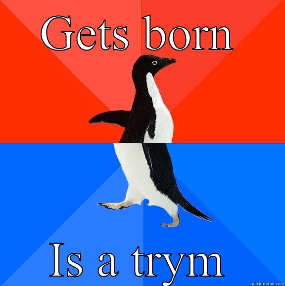 Lol is fidb spwo didj - GETS BORN IS A TRYM Socially Awesome Awkward Penguin