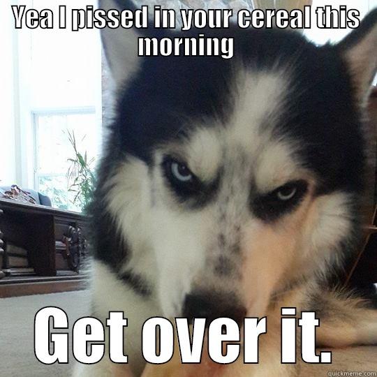 Husky evillll - YEA I PISSED IN YOUR CEREAL THIS MORNING GET OVER IT. Misc