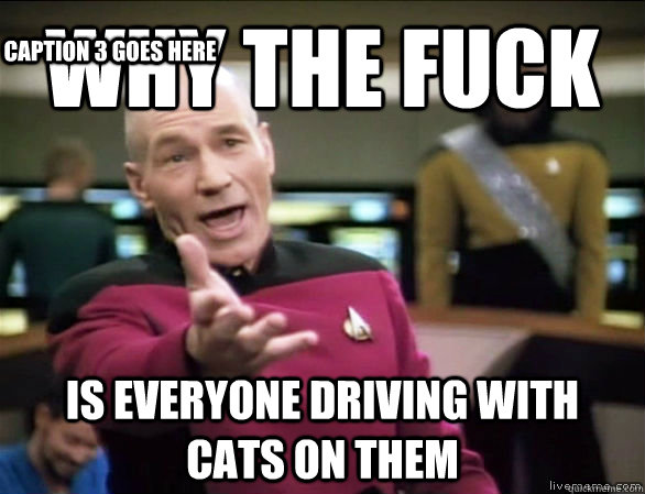 why the fuck is everyone driving with cats on them Caption 3 goes here  Annoyed Picard HD