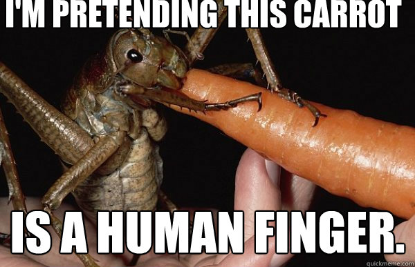 I'm pretending this carrot is a human finger.  Giant Weta