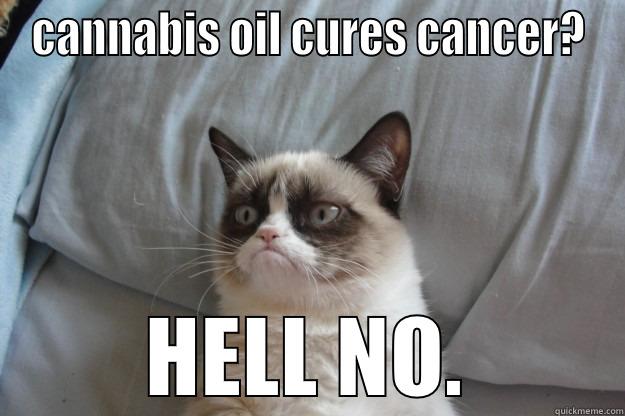 CANNABIS OIL CURES CANCER? HELL NO. Grumpy Cat