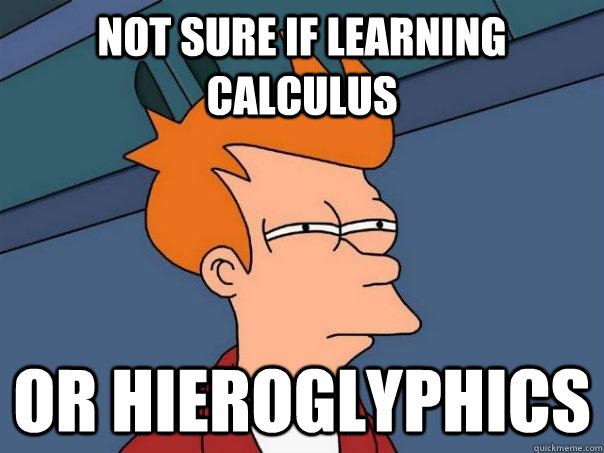 Not Sure if learning calculus Or hieroglyphics - Not Sure if learning calculus Or hieroglyphics  Futurama Fry