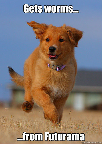 Gets worms... ...from Futurama  Ridiculously Photogenic Puppy