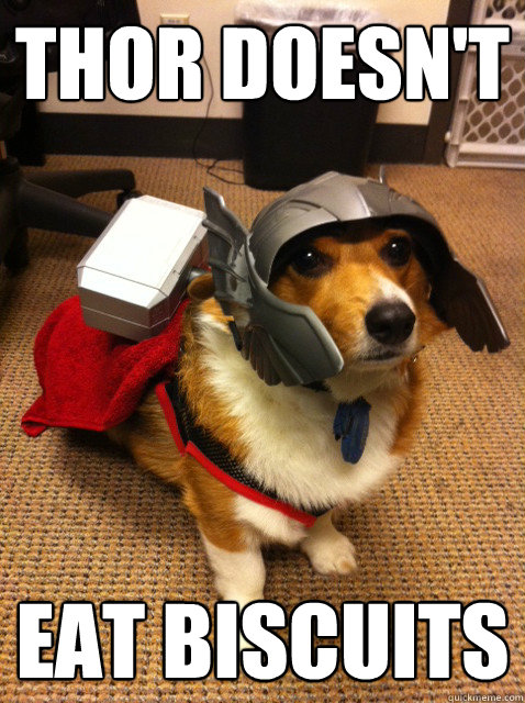 THOR DOESN'T EAT BISCUITS - THOR DOESN'T EAT BISCUITS  ThorGi