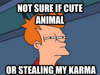 not sure if cute animal or stealing my karma  Notsureif