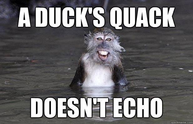 a duck's quack doesn't echo - a duck's quack doesn't echo  Mistaken Macaque