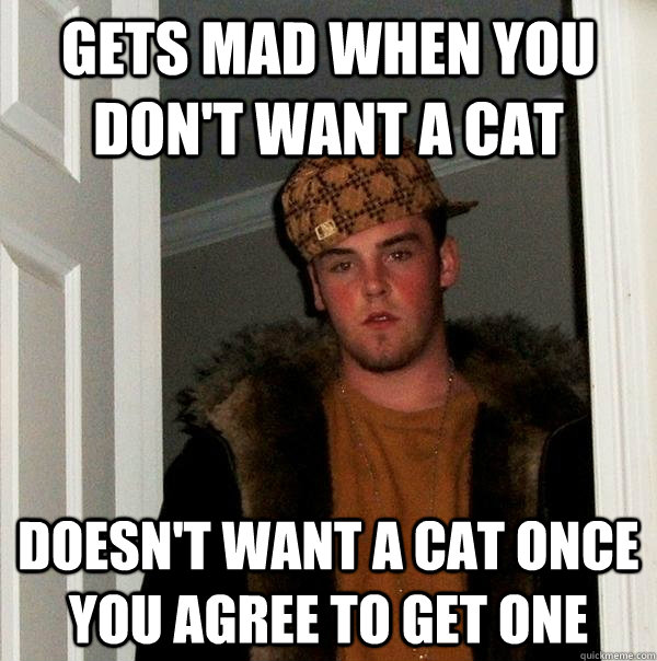 Gets mad when you don't want a cat Doesn't want a cat once you agree to get one  Scumbag Steve