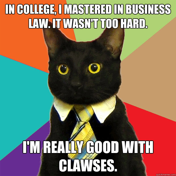 In college, I mastered in business law. It wasn't too hard. I'm really good with clawses.  Business Cat