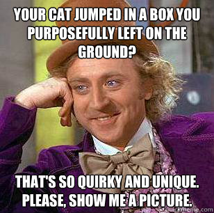 Your cat jumped in a box you purposefully left on the ground? That's so quirky and unique. Please, show me a picture.  Condescending Wonka