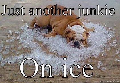 Dog on ice  - JUST ANOTHER JUNKIE  ON ICE Misc