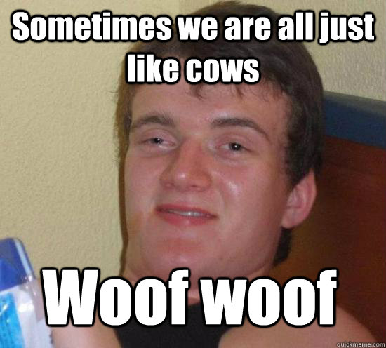 Sometimes we are all just like cows Woof woof  10 Guy