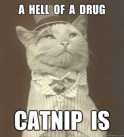 A  HELL  OF  A  DRUG CATNIP  IS  Aristocat