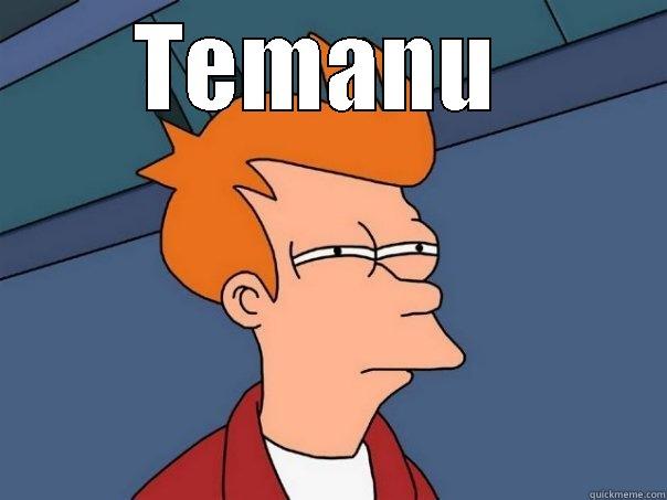 TEMANU   Futurama Fry