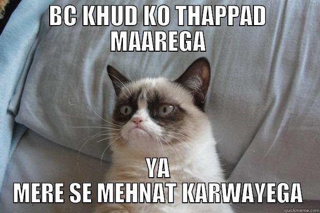 BC KHUD KO THAPPAD MAAREGA YA MERE SE MEHNAT KARWAYEGA Grumpy Cat