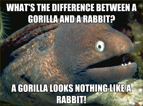 What's the difference between a gorilla and a rabbit? A gorilla looks nothing like a rabbit!  Bad Joke Eel