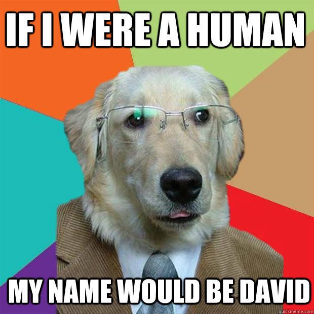 If I were a human My name would be David   Business Dog