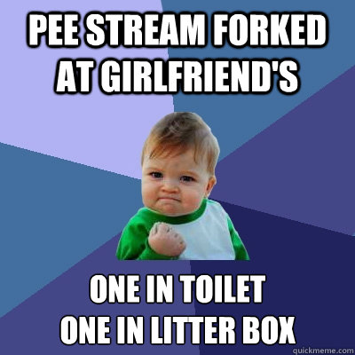 Pee stream forked at Girlfriend's One in toilet
One in litter box  Success Kid