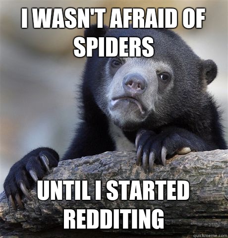 I wasn't afraid of spiders Until I started redditing - I wasn't afraid of spiders Until I started redditing  Confession Bear