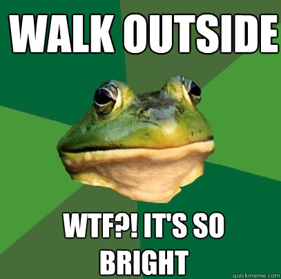 Walk outside wtf?! It's so 
bright - Walk outside wtf?! It's so 
bright  Foul Bachelor Frog